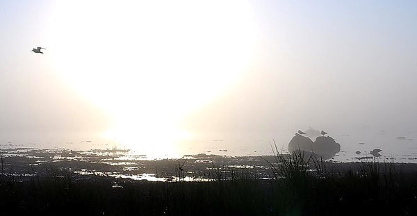 Kahlajate kaamera