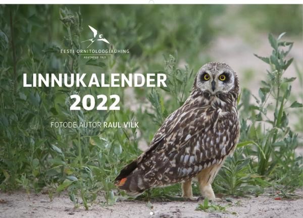 kalender