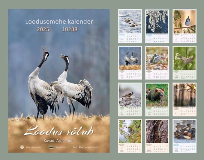 kalender