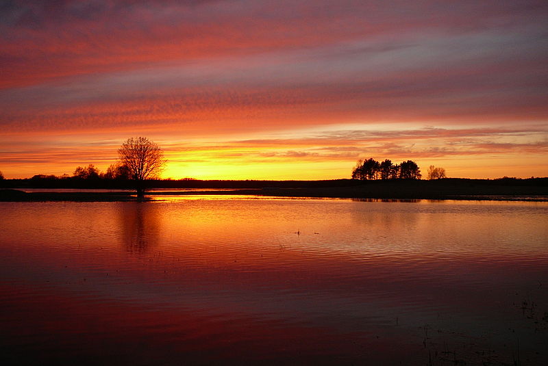 Assamalla karstiluht suurvee ajal - maikuus 2010. 