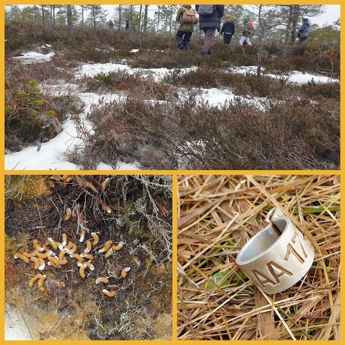 Pärast matka rääkis Pauli Saag pesakastidest.