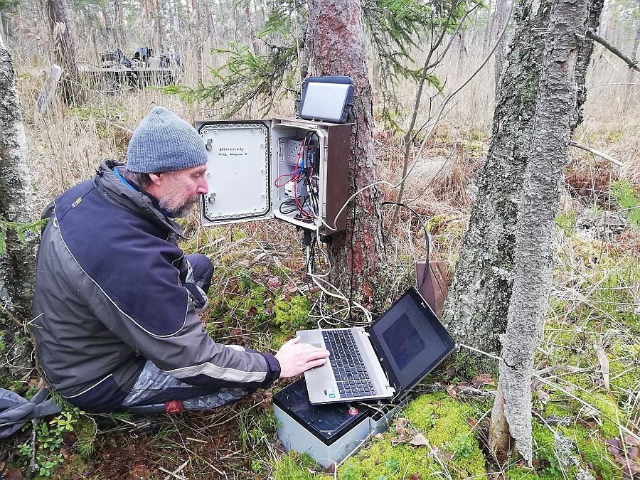 Kotkakaamera