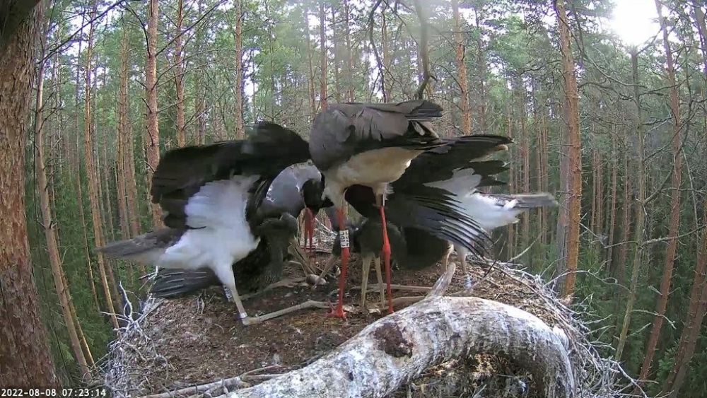 Veidi üle poole tunni hiljem. Kaamerapiltidel on kellaajad nähtavad.