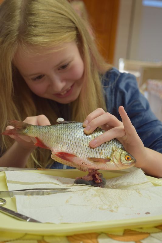 Pildid möödunud suve laagrist