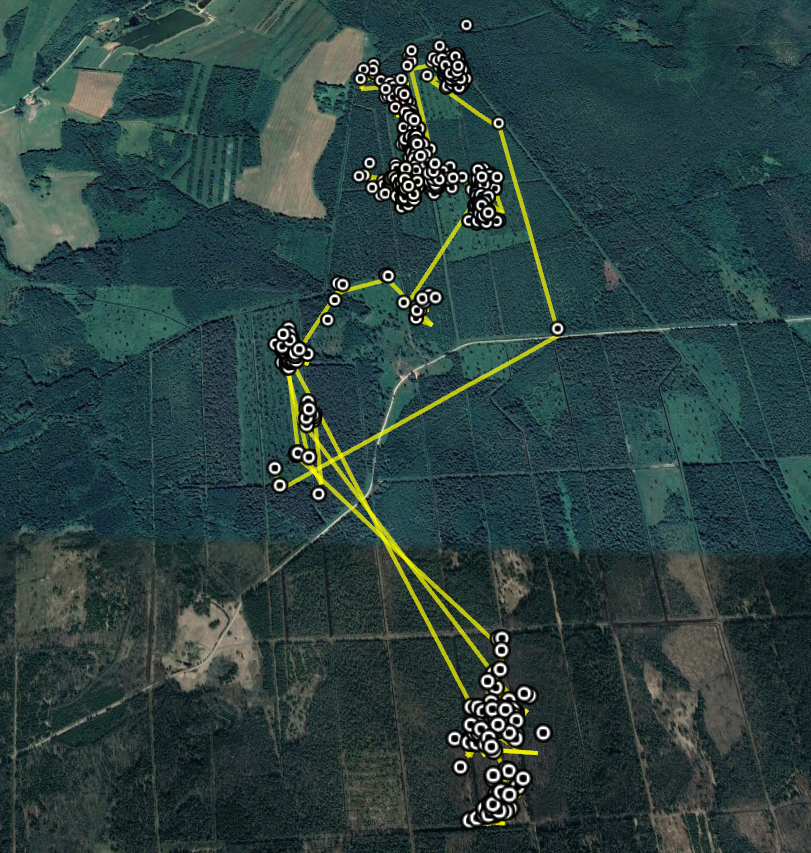 Nepipaaril on lemmikterritooriumid