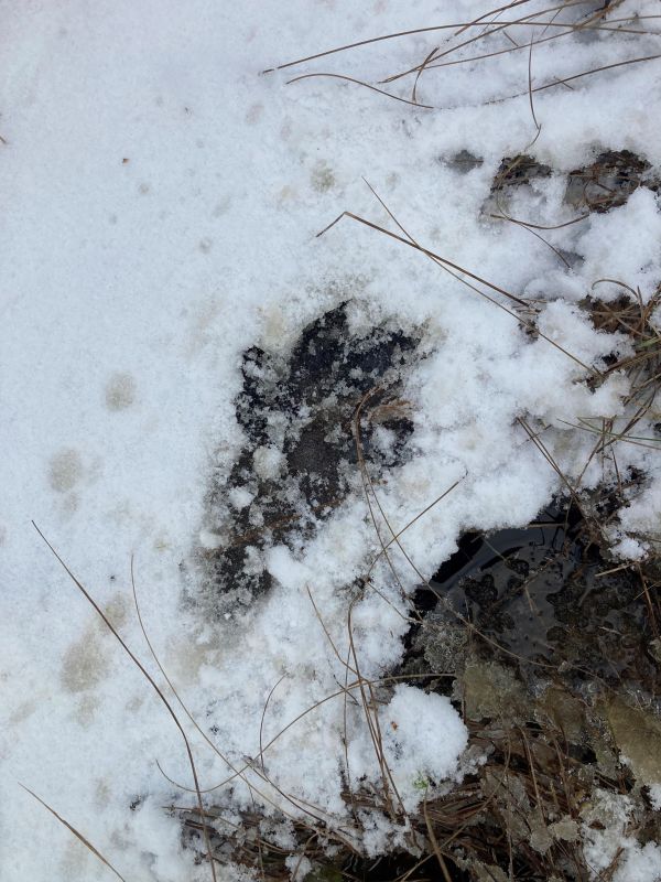 Kährik on jääl libisenud