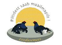 02 / 2024 / jõulukuu
