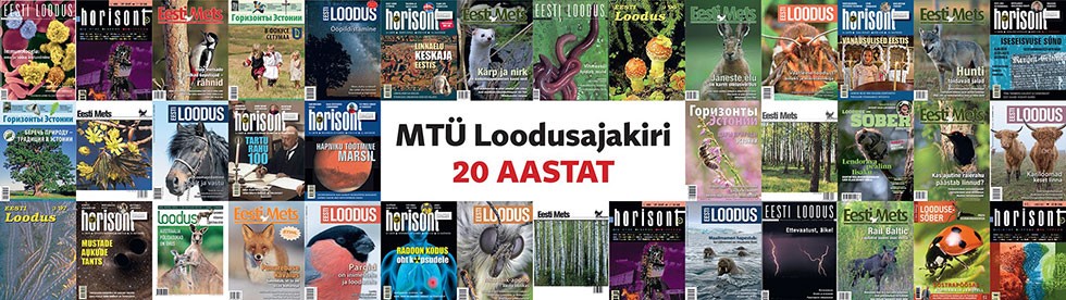 https://e-pood.horisont.ee/e-ajakirjad/