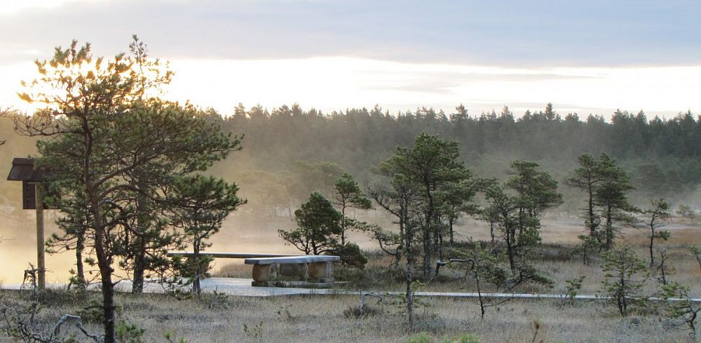 2019. a looduskaitsekuu "Igaühe loodushoid" jagab soovitusi, kuidas hoida loodust.
