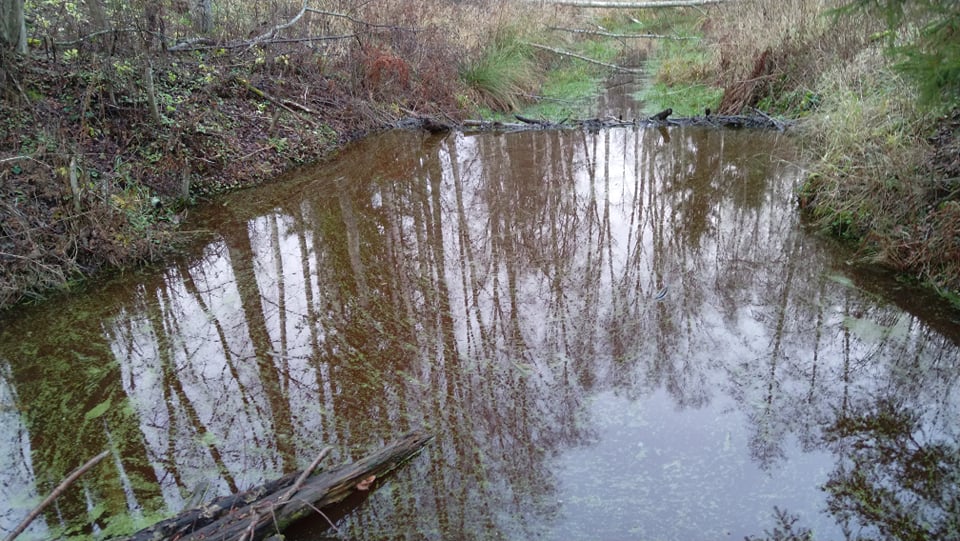 kopratamm