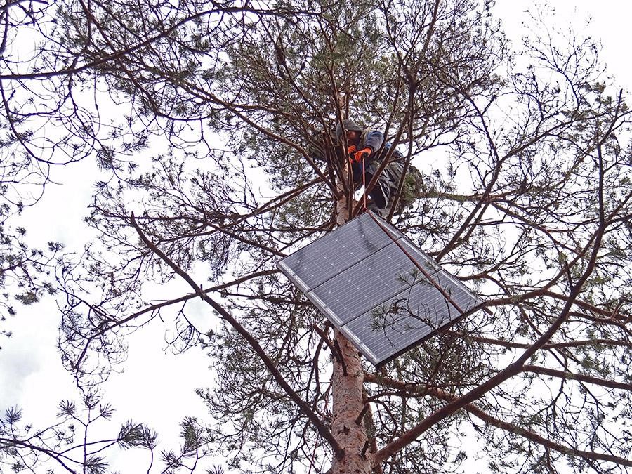 metsisekaamera