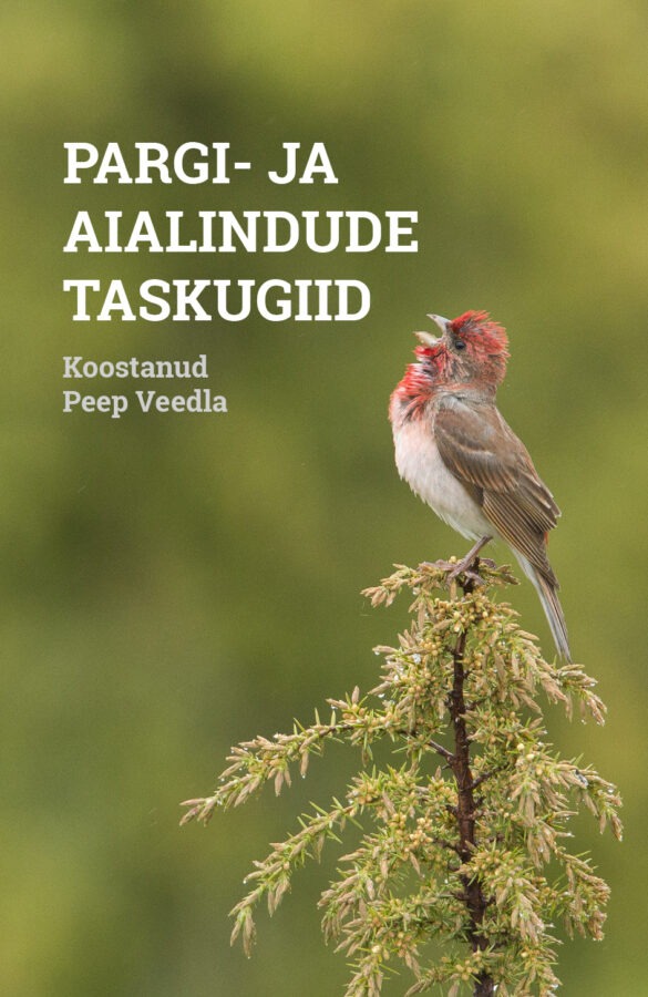 taskugiid