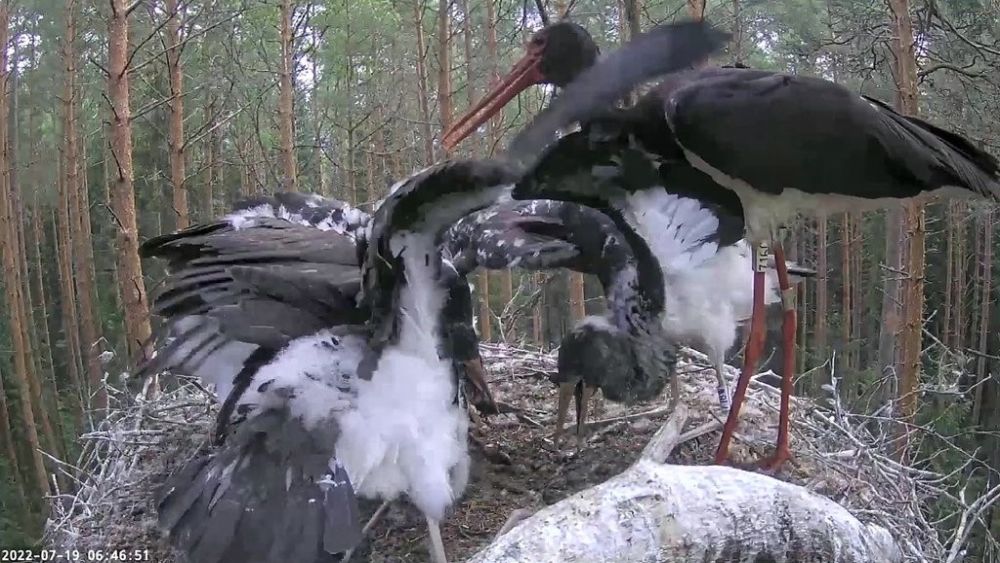 Öise ehmatuse taastab tavapärane elurütm.