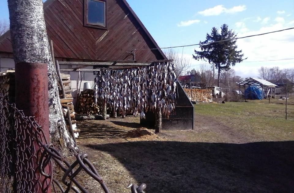 piirissaare