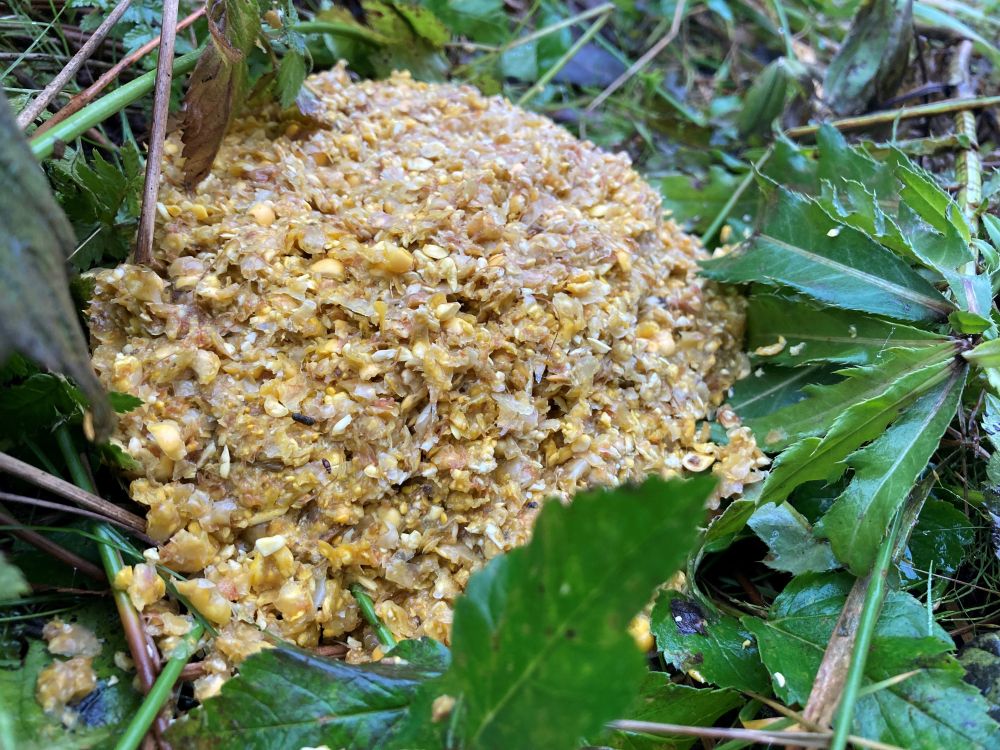Maisilt tulnud karu väljaheide
