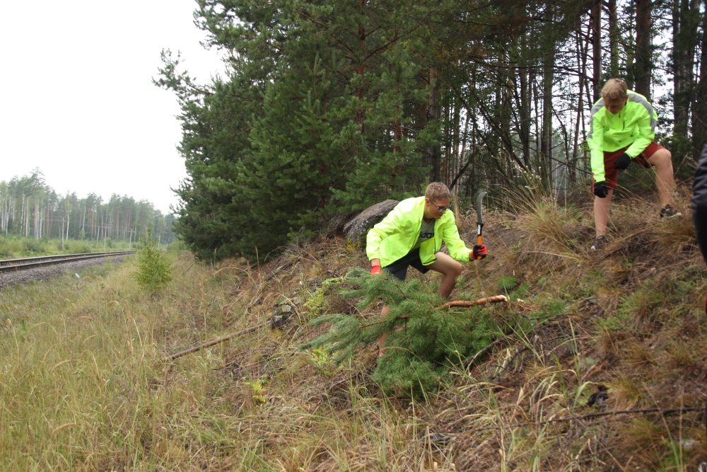 Hooldustööd Piusa-Võmmorski hoiualal.