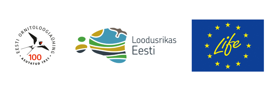 projekt