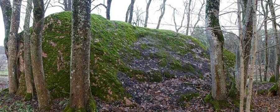 Aga tegelikult on rändavaid kive teisigi ja veel täiesti kodumaiseid.