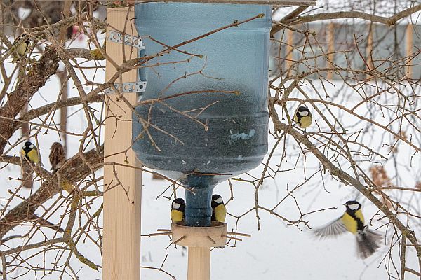 Linnades võiks toidumaju panna pigem majade hoovipoolsetesse külgedesse