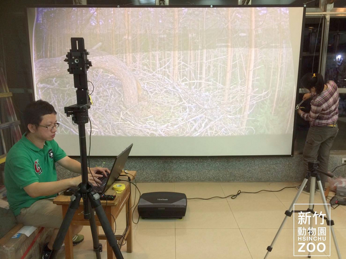 Installatsioon HsinChu loomaaias.