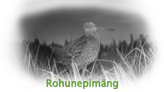 rohunepp