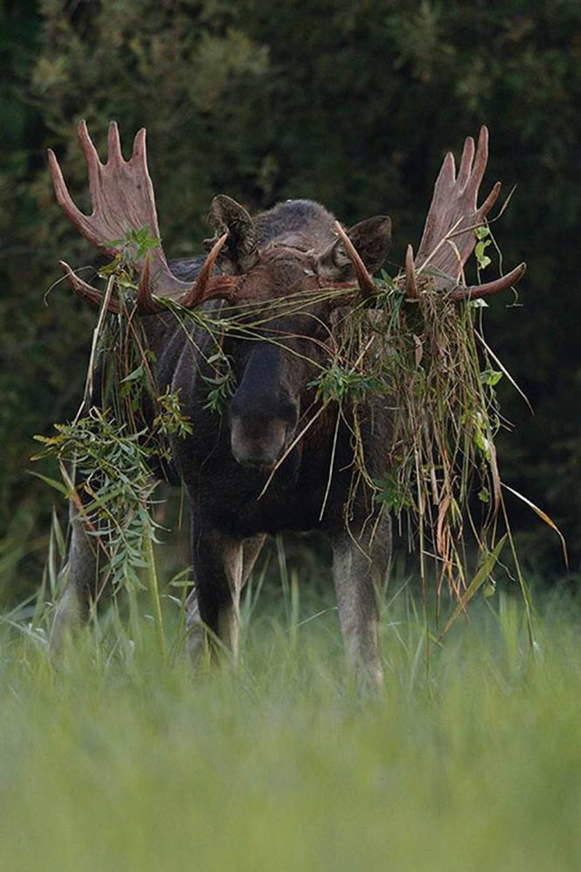 Erik Mandre foto – Eesti Jahimehe eriauhind 2015