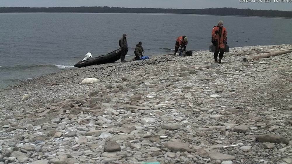 Seiremeeskond, aga saame tagasi oma vahepeal täislaetud akupargi