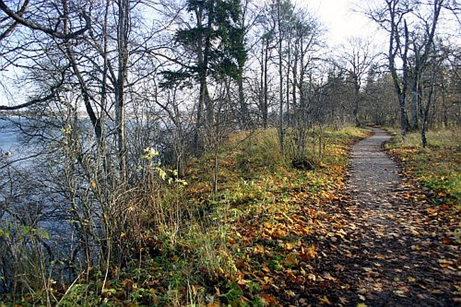 Tabasalu rada.