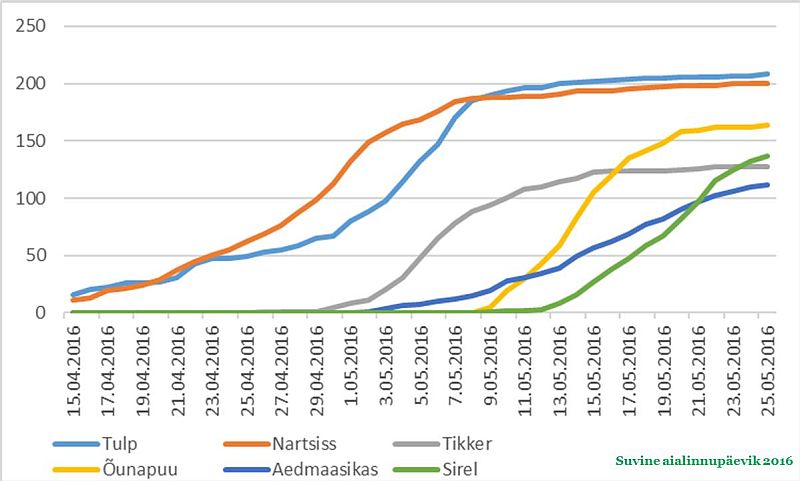 Aiataimedest hakkasid madalad tulbi- ja nartsissisordid õitsema juba aprilli alguses