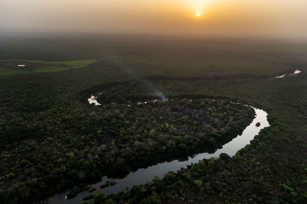 Selline näeb välja isaslind Karli talvitusala Chinko looduskaitsealal Kesk-Aafrika Vabariigis