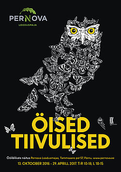 Öised tiivulised