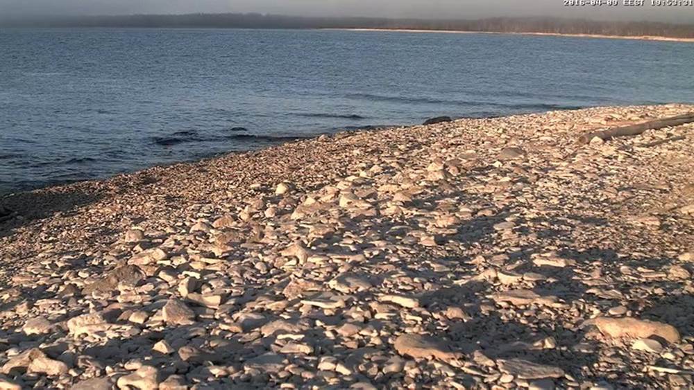 Pika paastu järgi mindi nagu „üks mees“ kudeva räime jahile. Lesilatesse ilmutakse maikuu karvavahetuseks. Siis näeme.