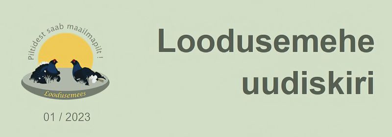 uudiskiri