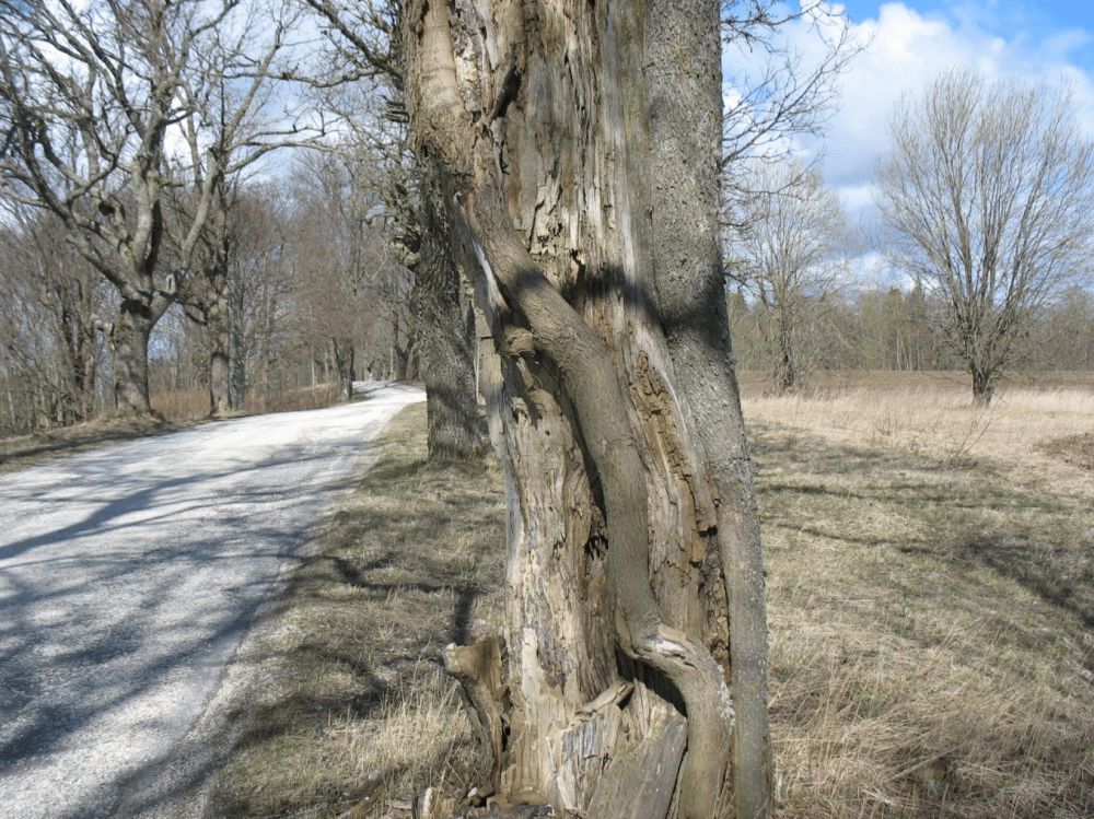Kolmas vaher.
