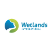 wetlands