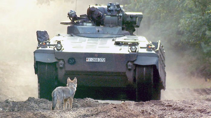 hunt saksas