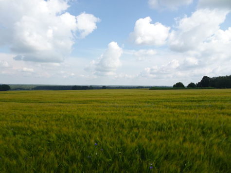 Vaade Laiuse voorelt