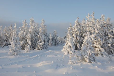 Talv Läänemaal. Foto: Olev Mihkelmaa