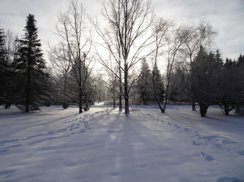 Piiri park kolmapäeval