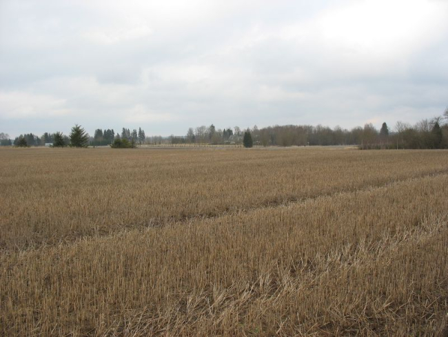 Põld lumeta.