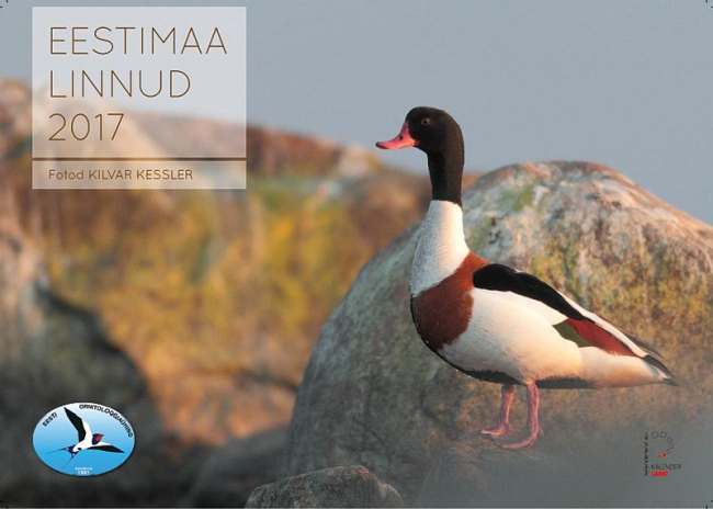 Eestimaa linnud