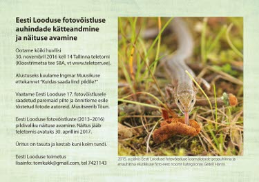 Näituse avamine
