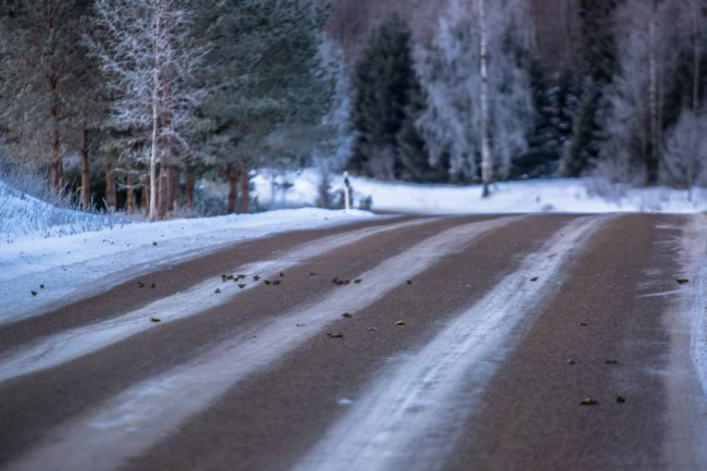 Suhteliselt harv juhus, kui linnuparv autoõnnetusse satub