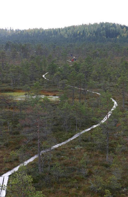 Matkajad Paukjärve lähistel