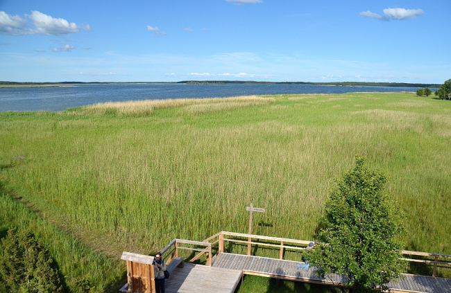 Orjaku linnuvaatlustorn.