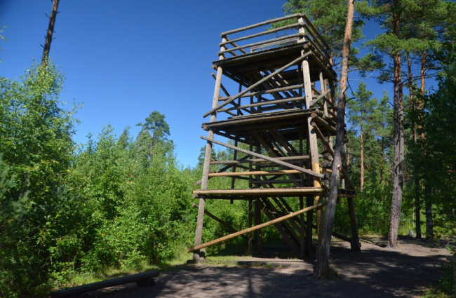 Pääsküla rabaraja vaatetorn.