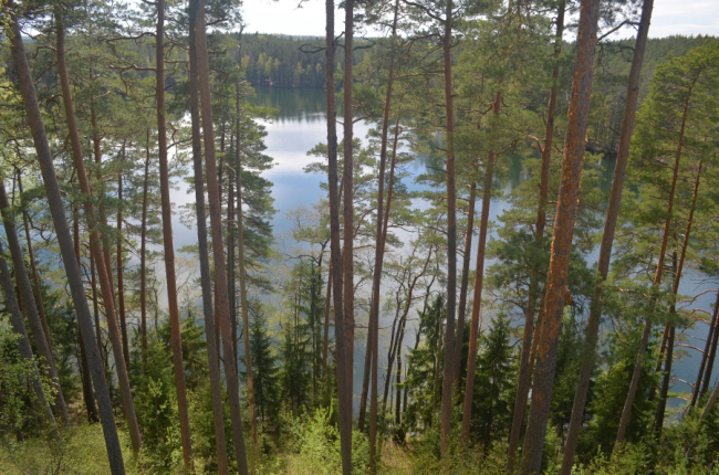 Paukjärv. 