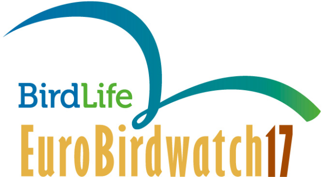birdwatch