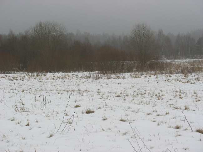 Esmaspäev oli udune 
