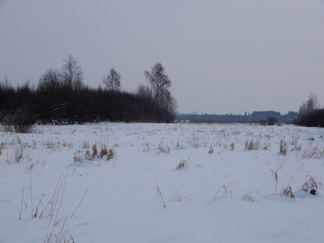 Seekord on kolm nädalat järjest lumikate püsinud 
